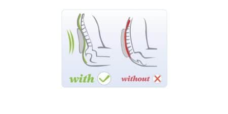 Lumbar Support