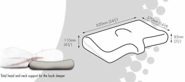 dentons posturelle pillow