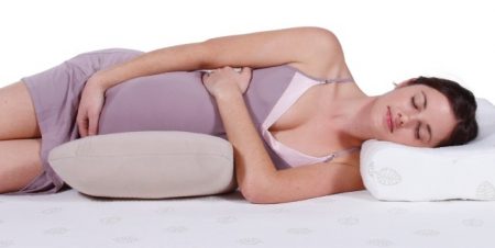 Pregnancy Pillow Support