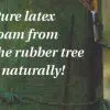 pure latex