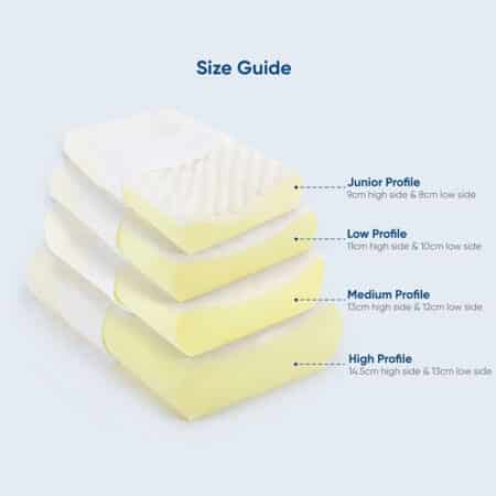 Family Contoured Egg Foam Pillow Sizes