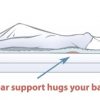 Lumbar Support Egg Foam Mattress