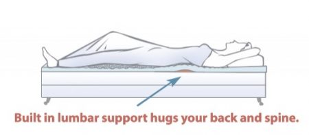 Lumbar Support Egg Foam Mattress