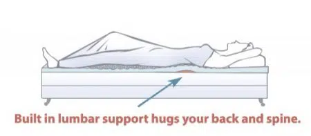 Lumbar Support Egg Foam Mattress