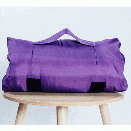 Buy SleepKeeper Pillow Carrier for Travel