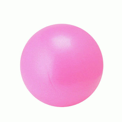 fortress pilates ball