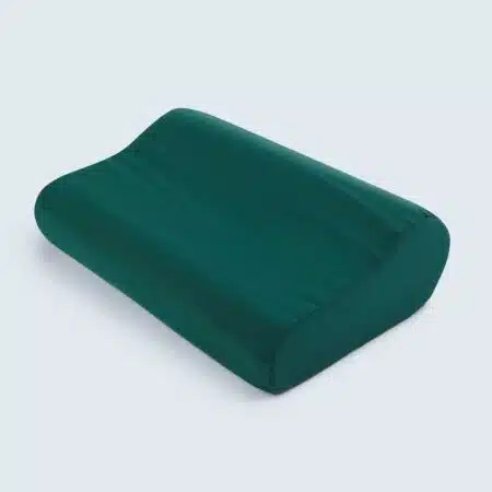 Travel Pillow Green