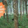 sustainable resource