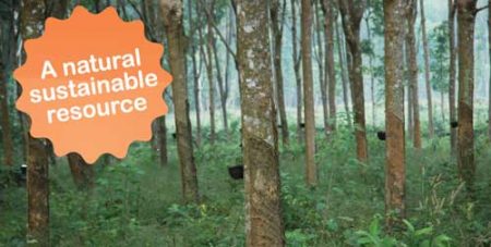 sustainable resource
