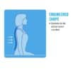 chair wide back support shape