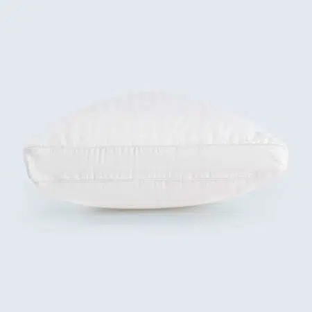 Best Allergy Sensitive Pillow